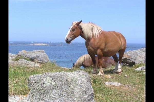 Photo n° 17 de la location