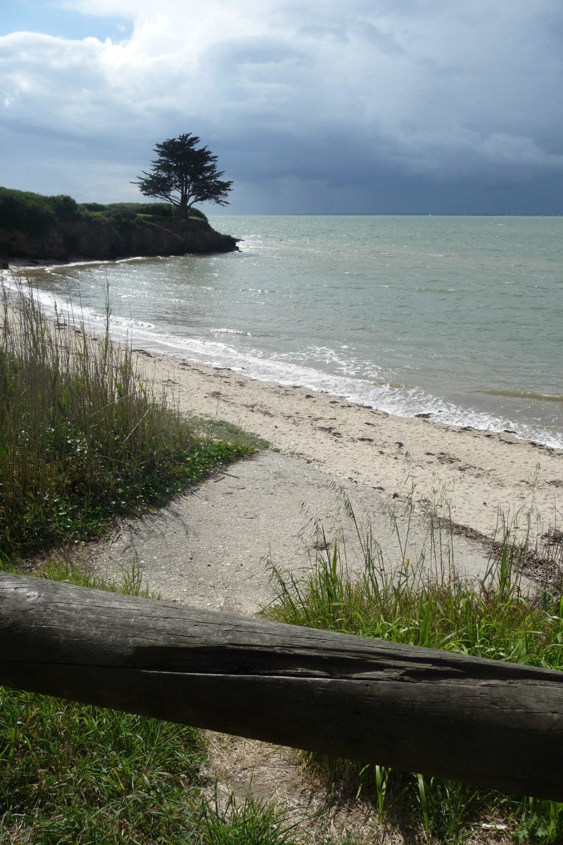 plage du halguen