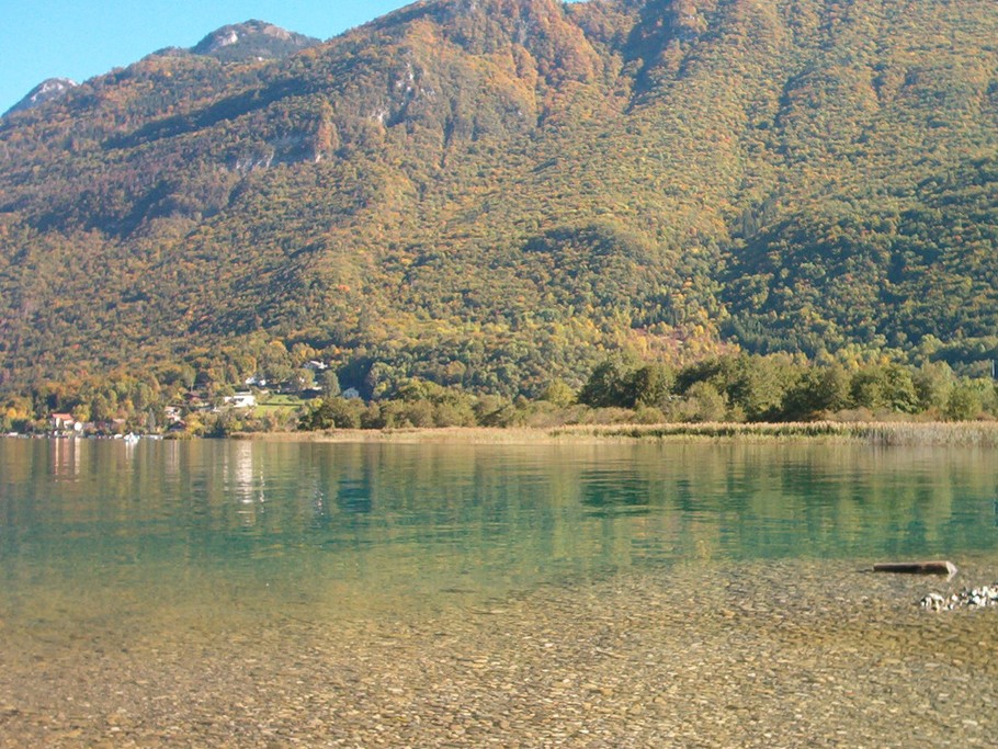 La réserve Doussard