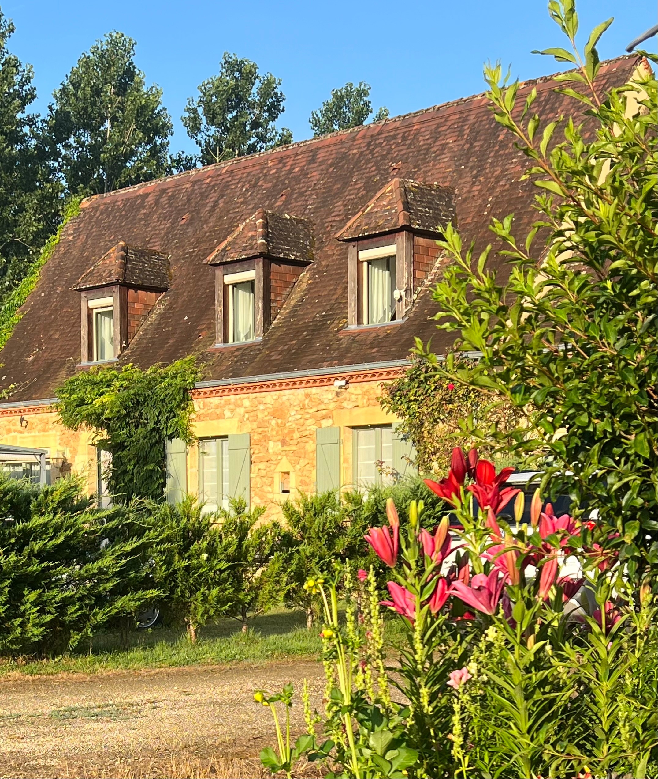 Image n° 1 of the location