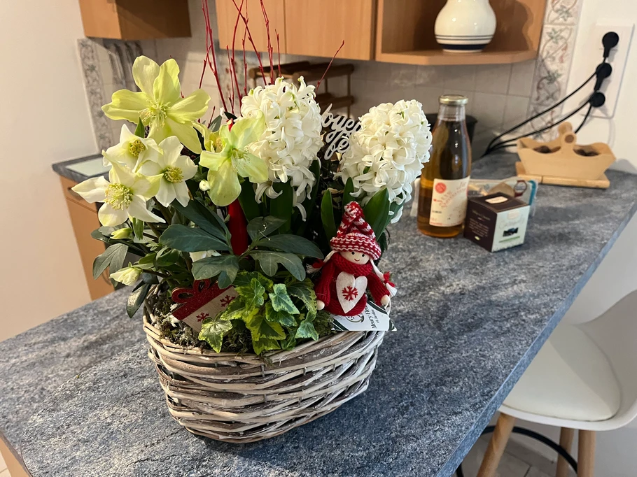 Location de vacances La flamme Ouistreham geste daccueil