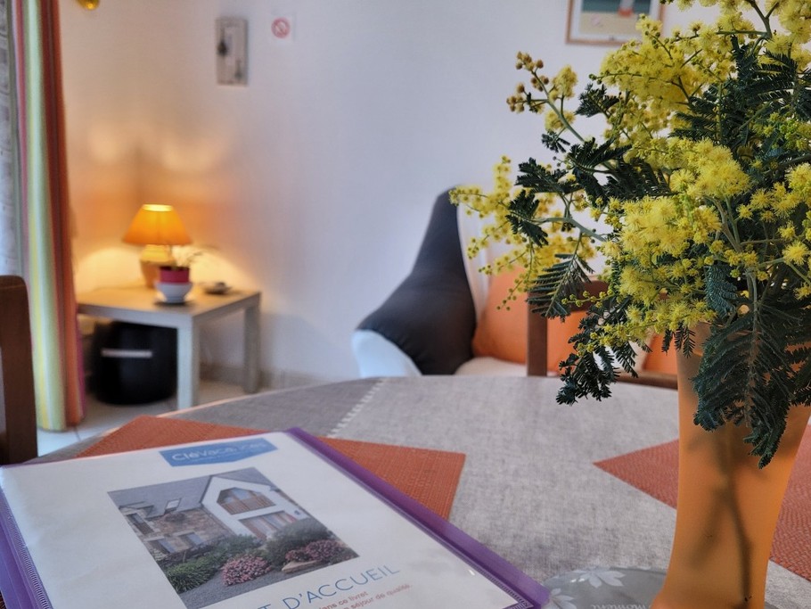 Location, Longère, Arcouest, Ploubazlanec, pièce de vie - détail décoratif