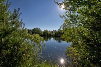 Photo n° 20 of the location