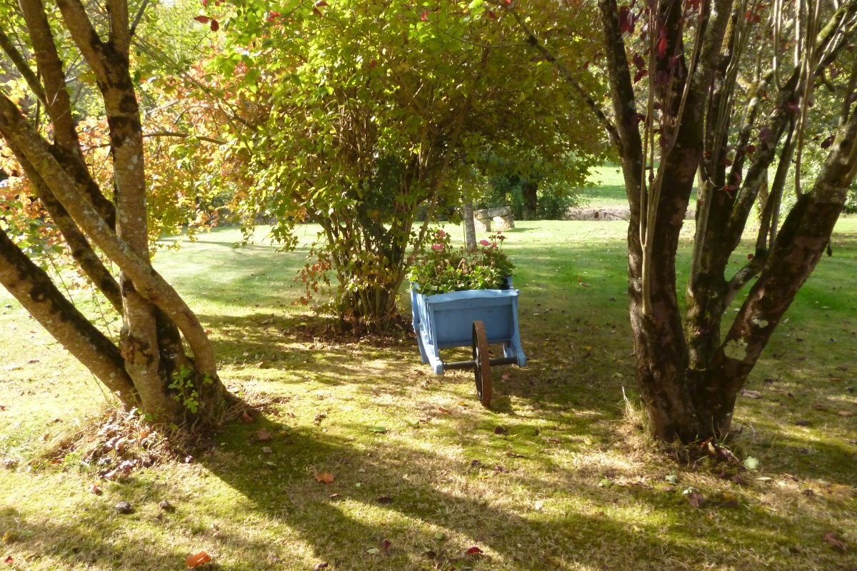 Image n° 2 de la location