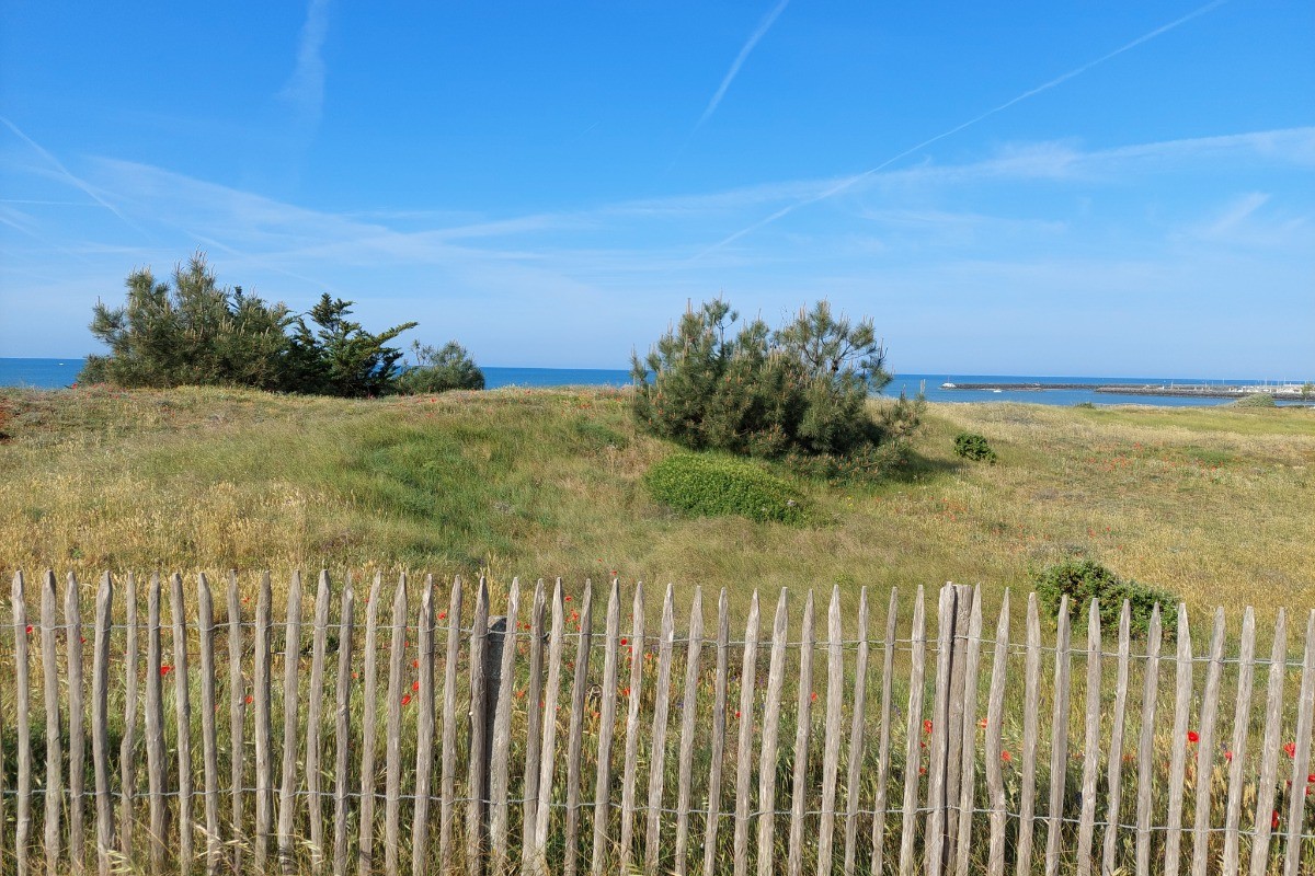 Balade à pieds le long de la côte