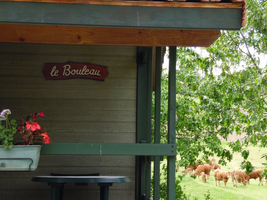 Photo n° 3 de la location