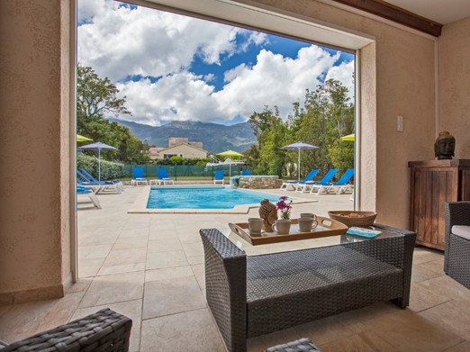 piscine vue du pool-house