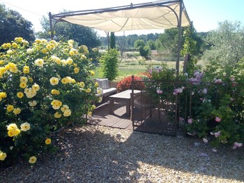 flower garden