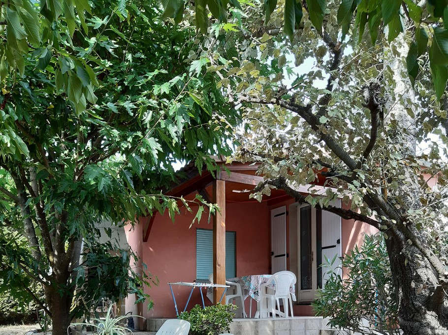 jardin