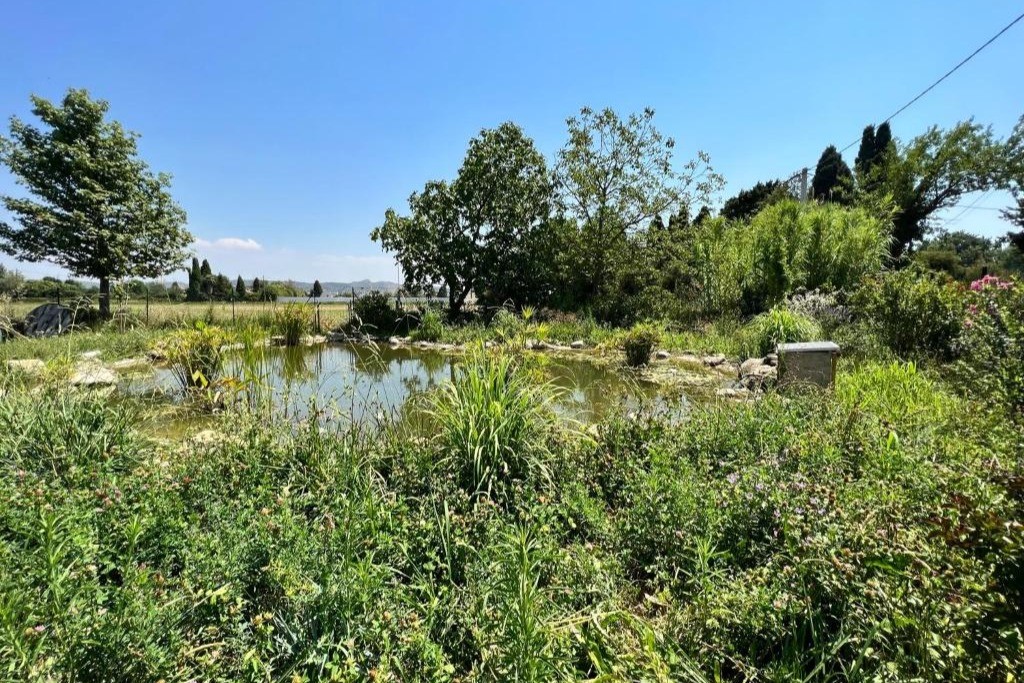 Photo n° 18 of the location