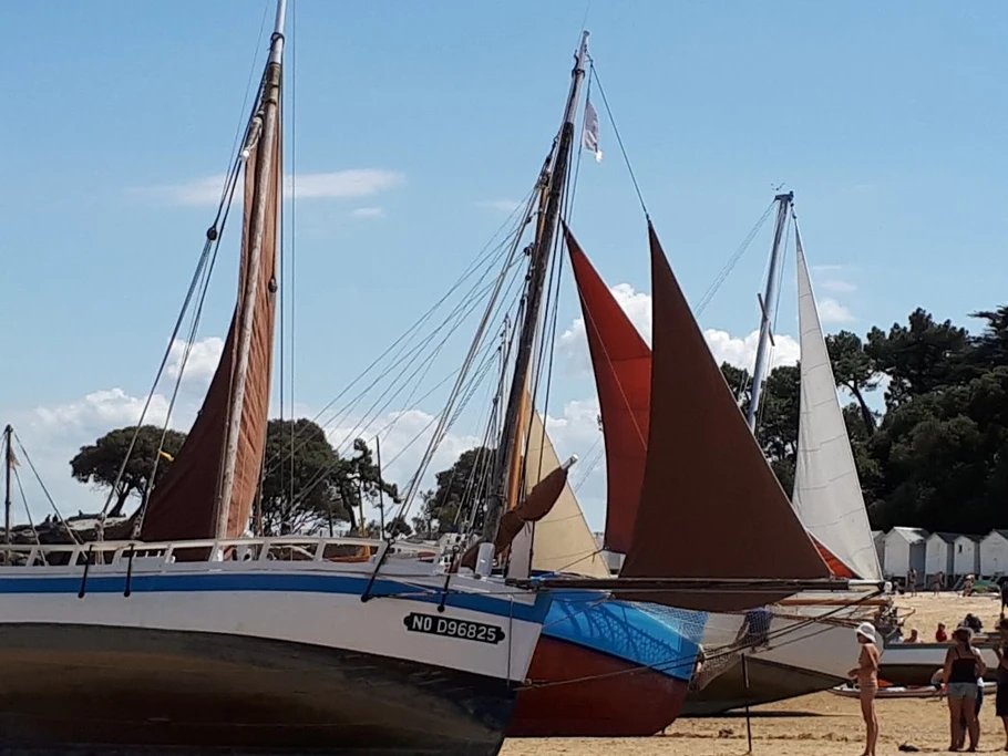 Régates du Bois de la Chaise