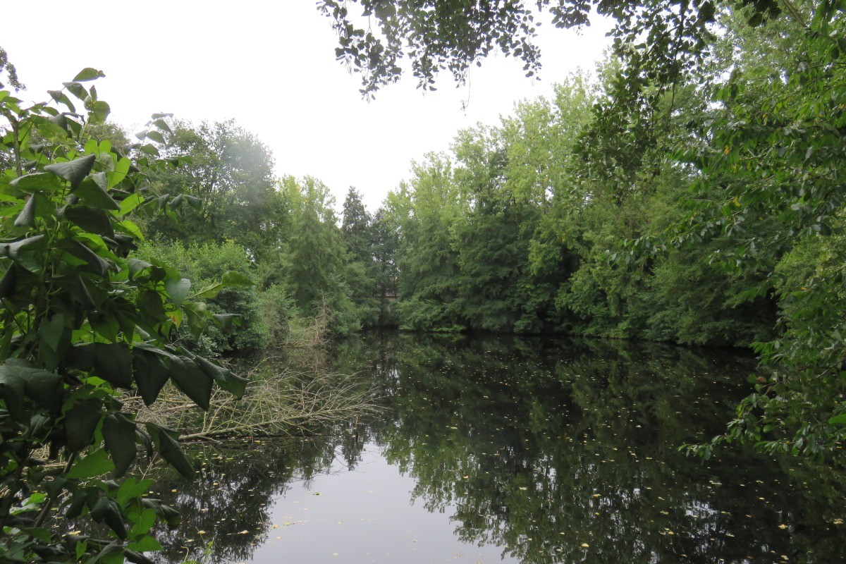 L'étang au pied de la maison