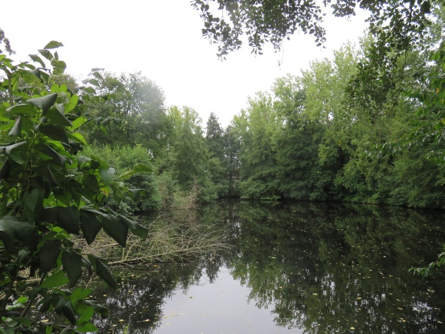 L'étang au pied de la maison