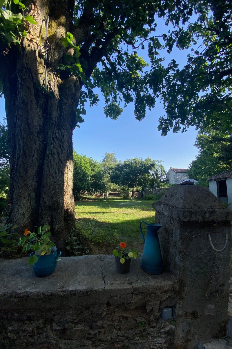 jardin