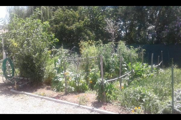 jardin bio Aucamville