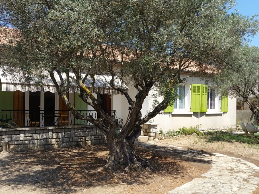 la maison, le jardin