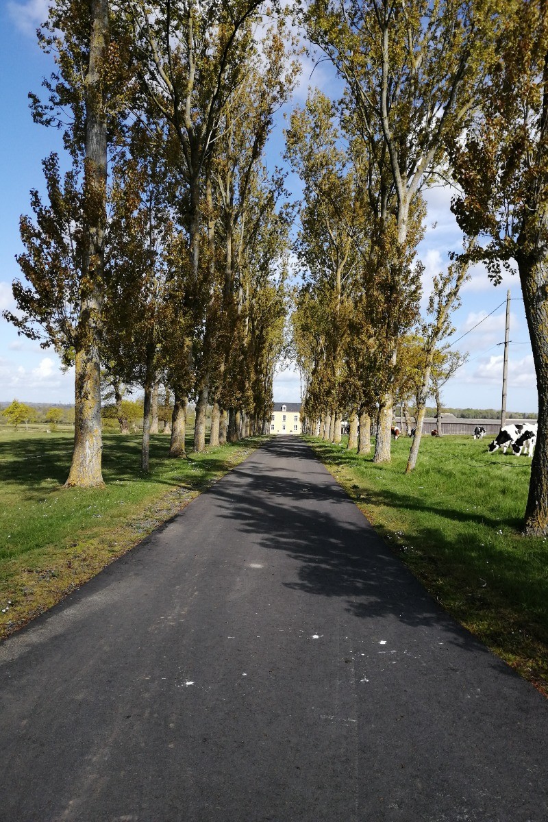 ALLEE D'ACCES DU GÏTE