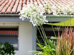 Landscaped garden Villa Land-Zee near Royan