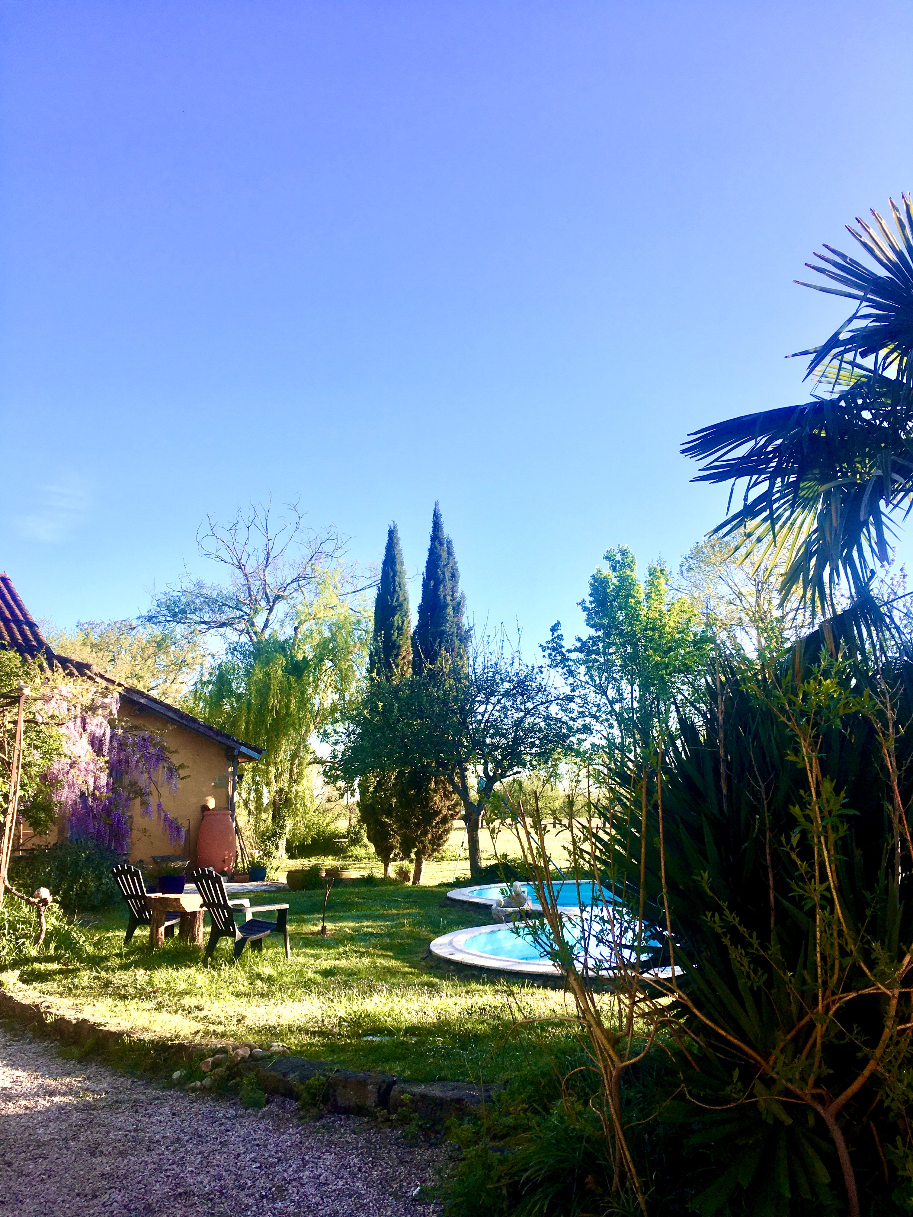 Vue piscine et jardin