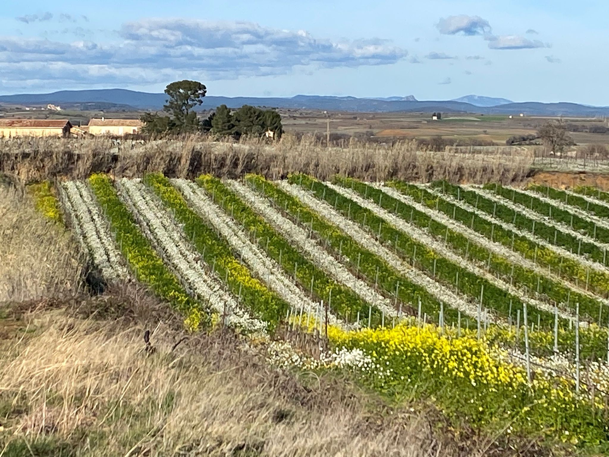 Maison de vacances à Pailhès – Clim, WiFi, nature et plages