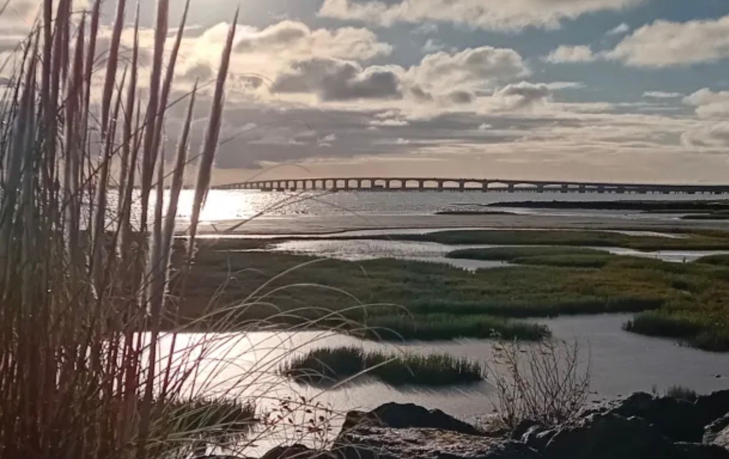 Photo n° 18 de la location