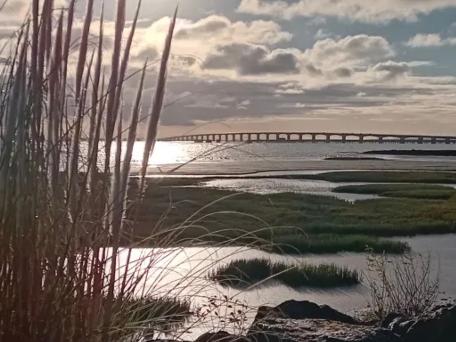 Photo n° 18 de la location