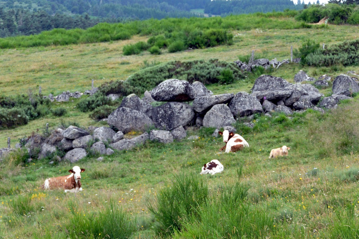 Photo n° 17 of the location