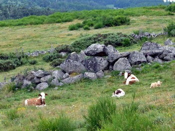 Photo n° 17 of the location