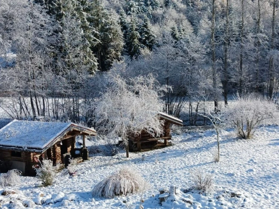 Vue depuis la terrasse