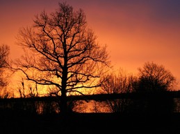 Image n° 4 de la location