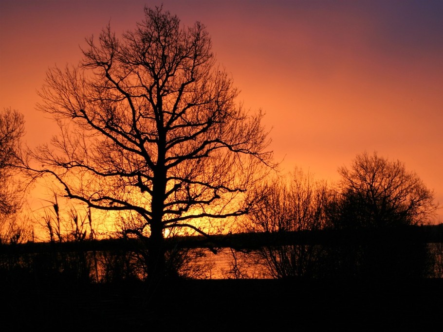 Photo n° 4 de la location