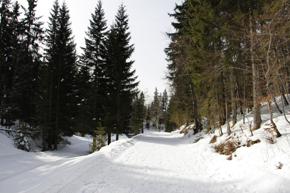 Photo n° 11 de la location