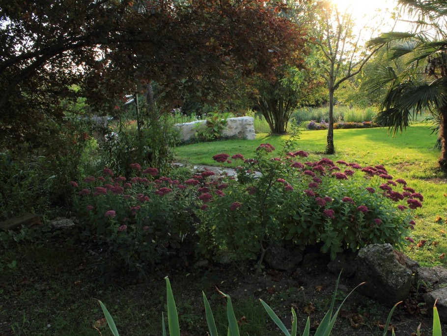 Jardin
