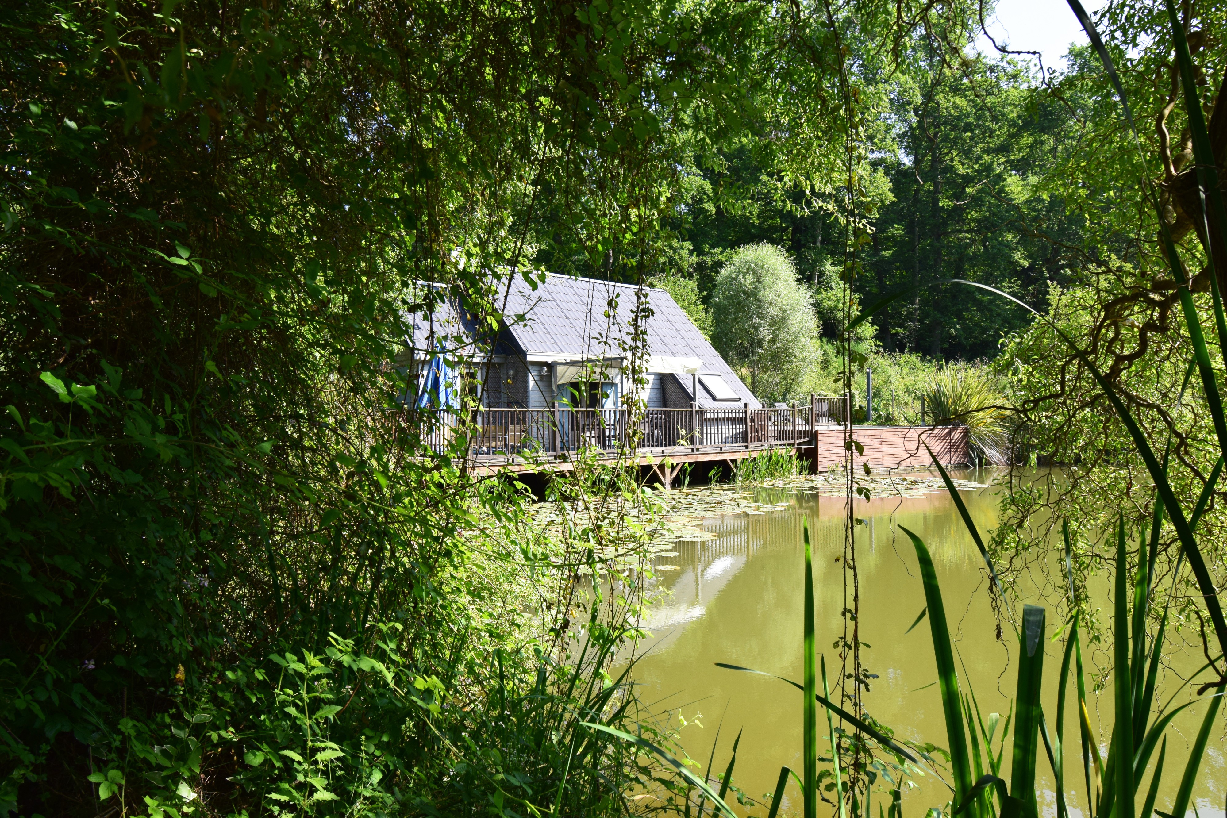 Vue gîte Chalet
