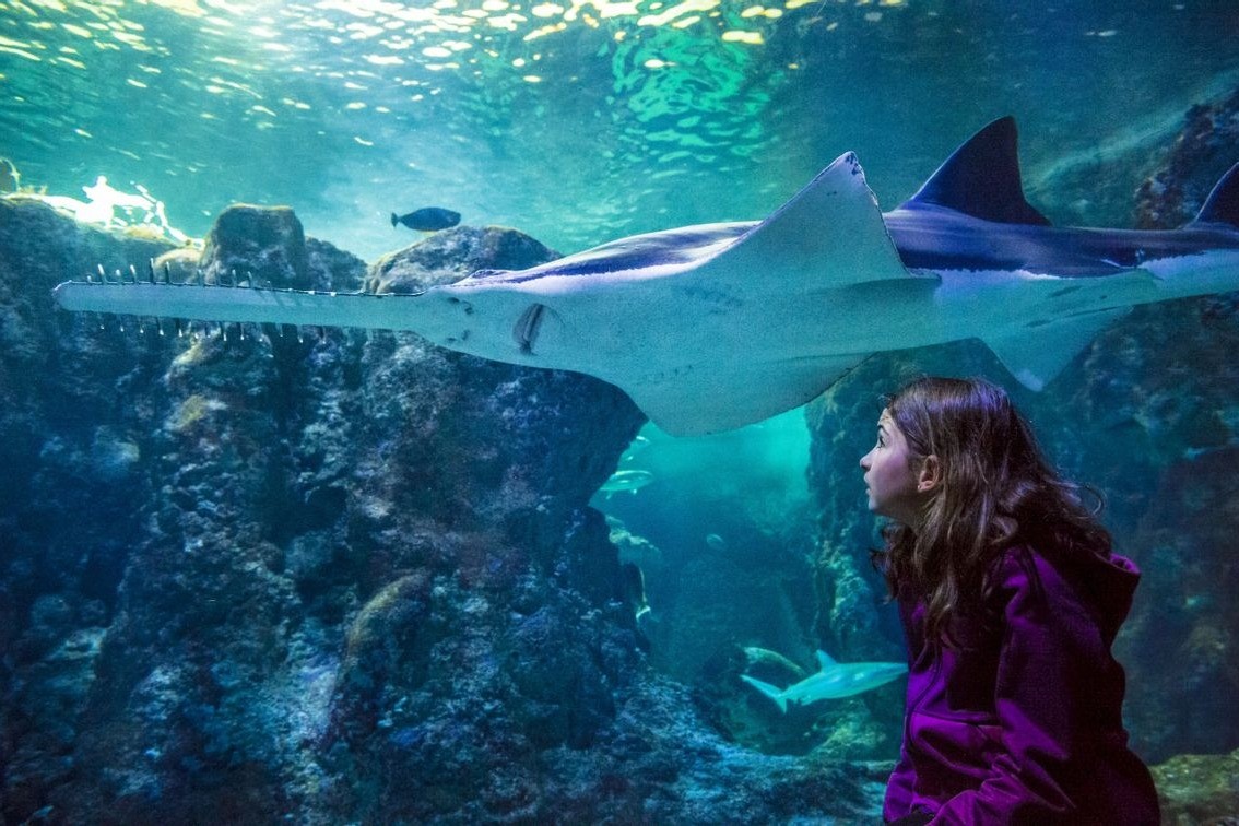 Océanopolis - Brest