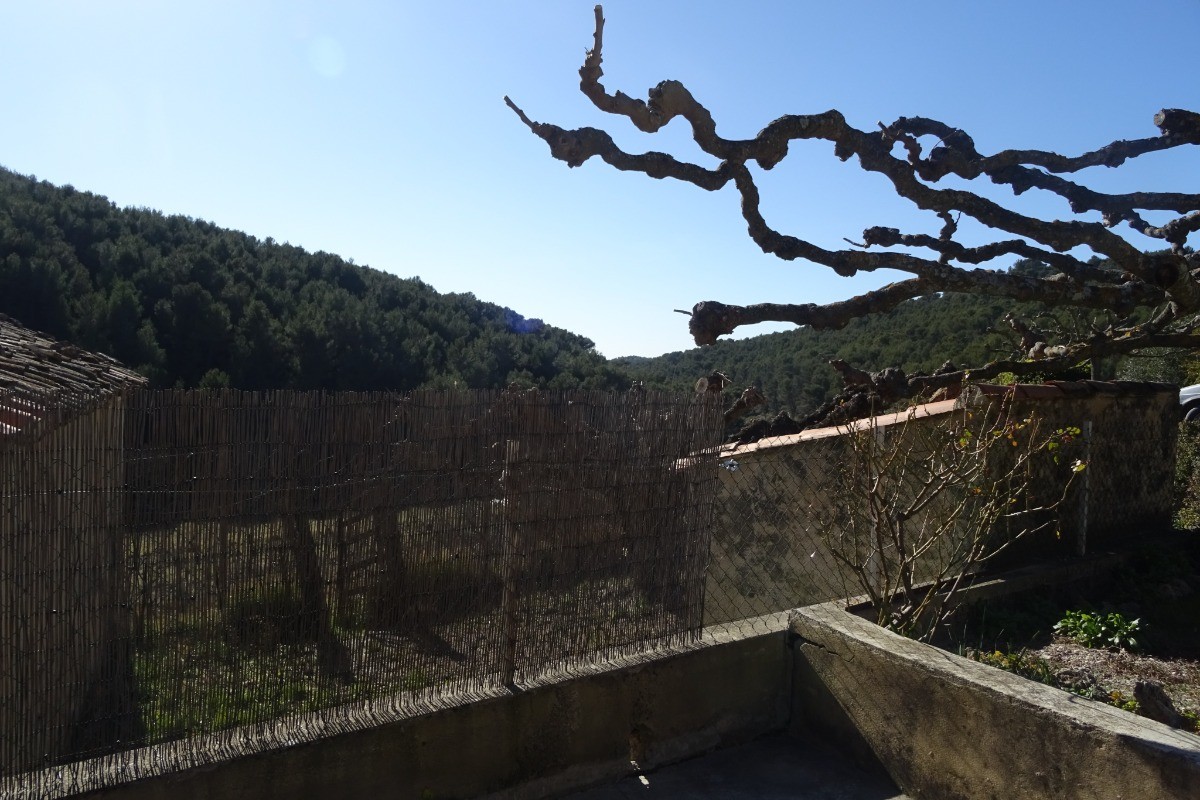 Vue de la location
