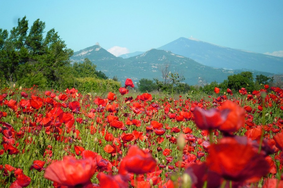 Photo n° 20 of the location