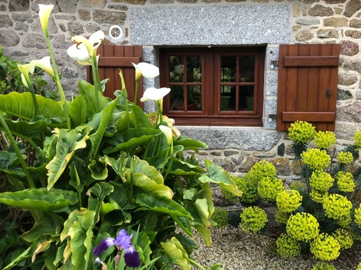Petit cocoon au calme - 4 pers - extérieur