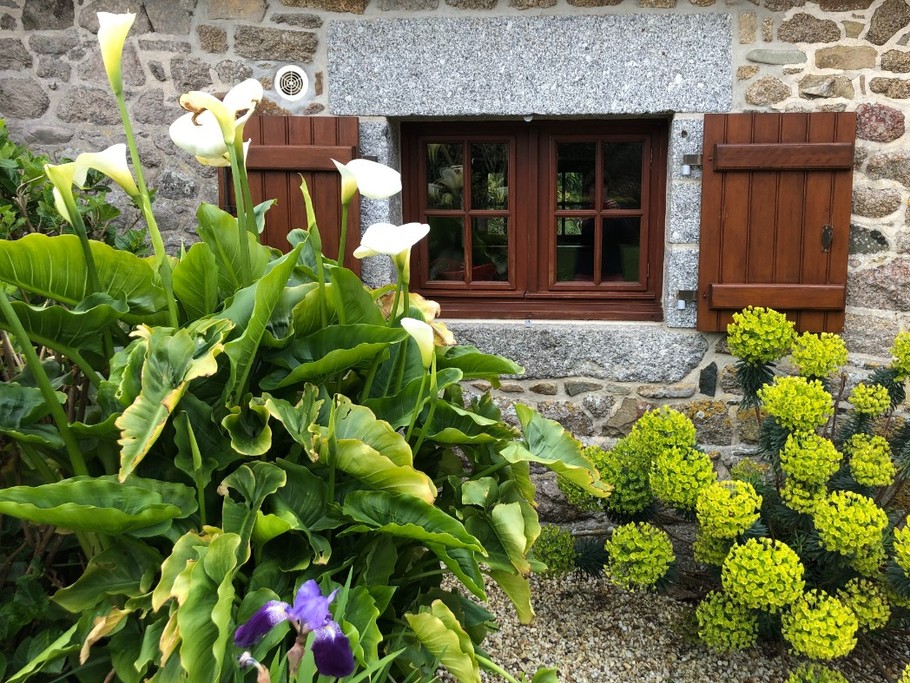 Petit cocoon au calme - 4 pers - extérieur