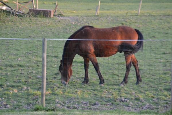 Photo n° 10 of the location