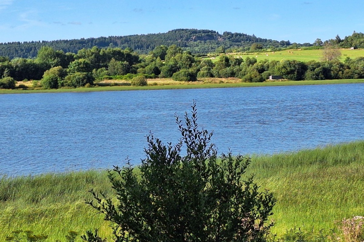 Photo n° 18 de la location