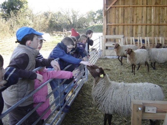 Visite de la Ferme