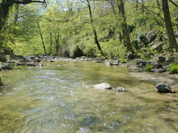 riviere au village