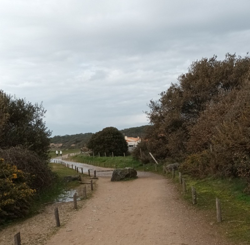 Accès direct chemin côtier