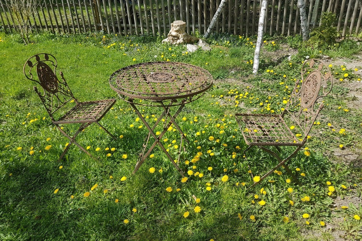jardin