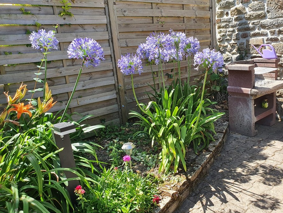 Photo n° 14 of the location