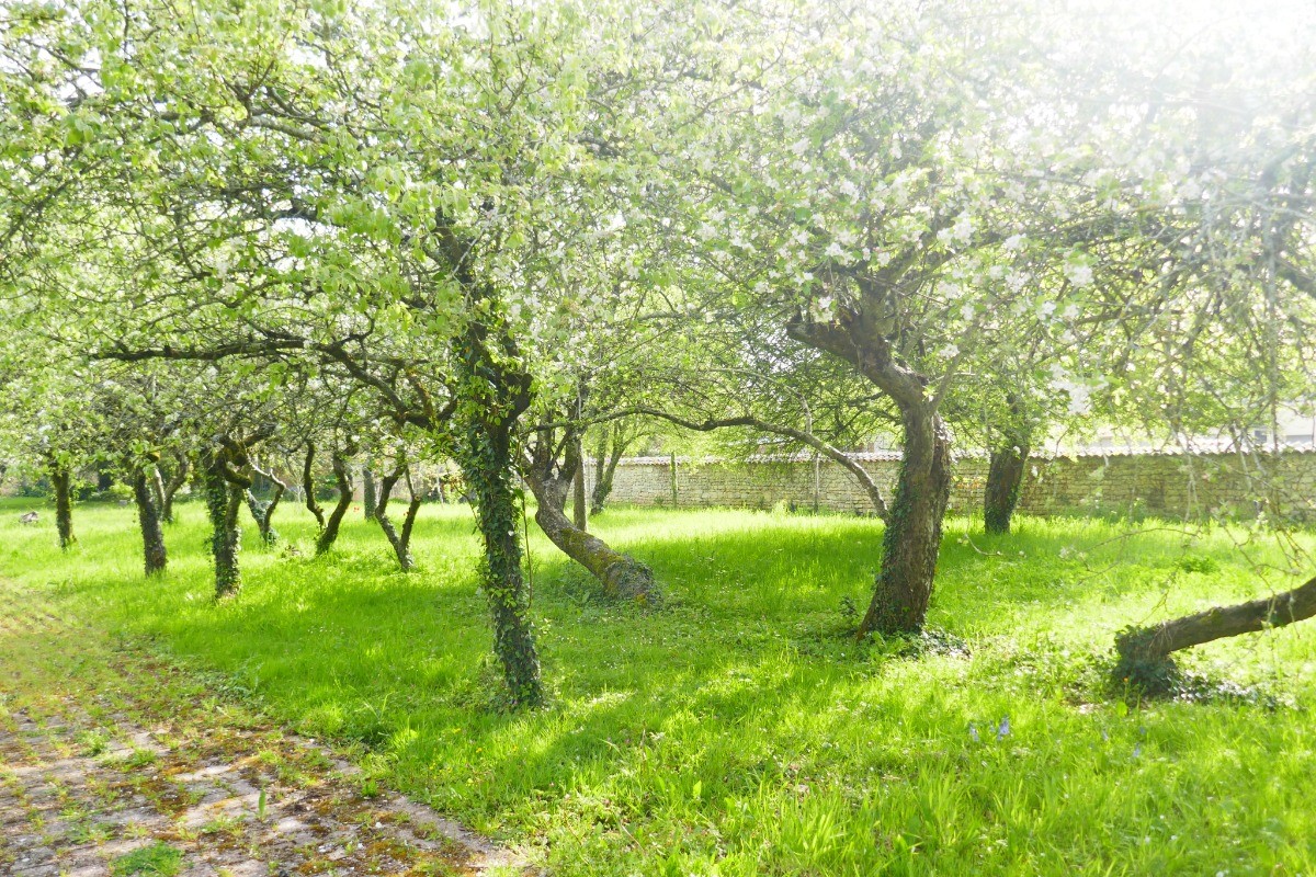Jardin