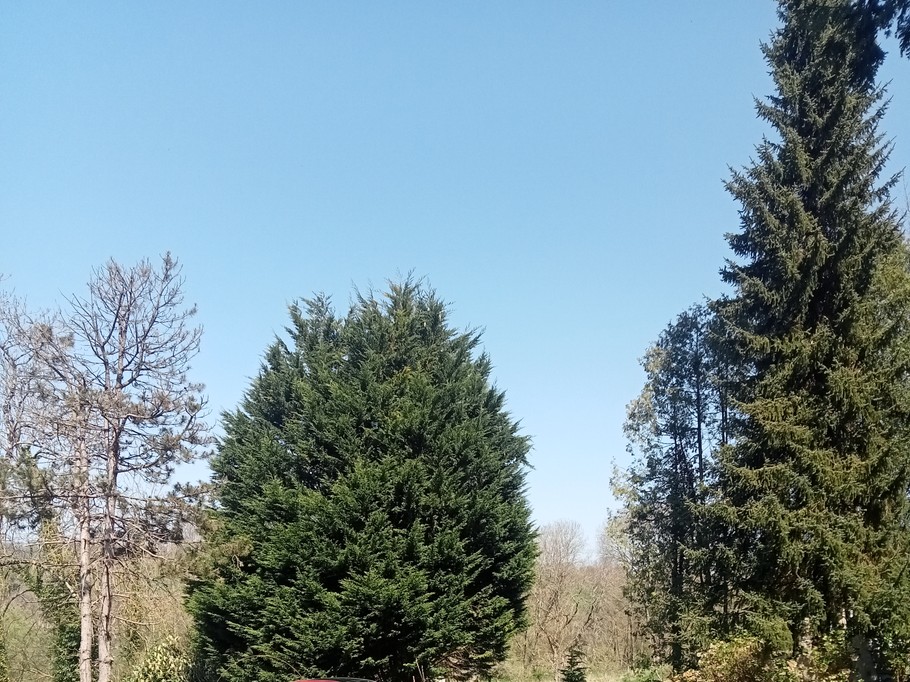 Photo n° 18 of the location