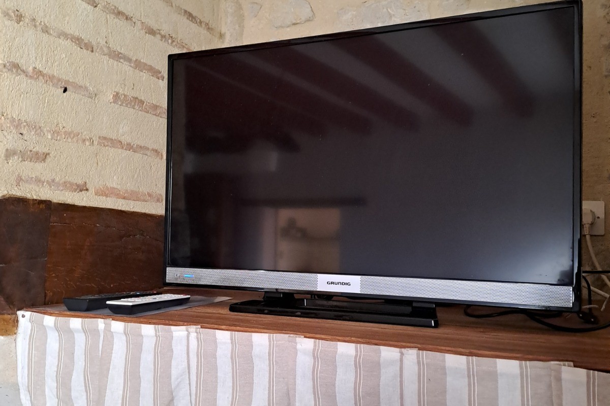 La télévision