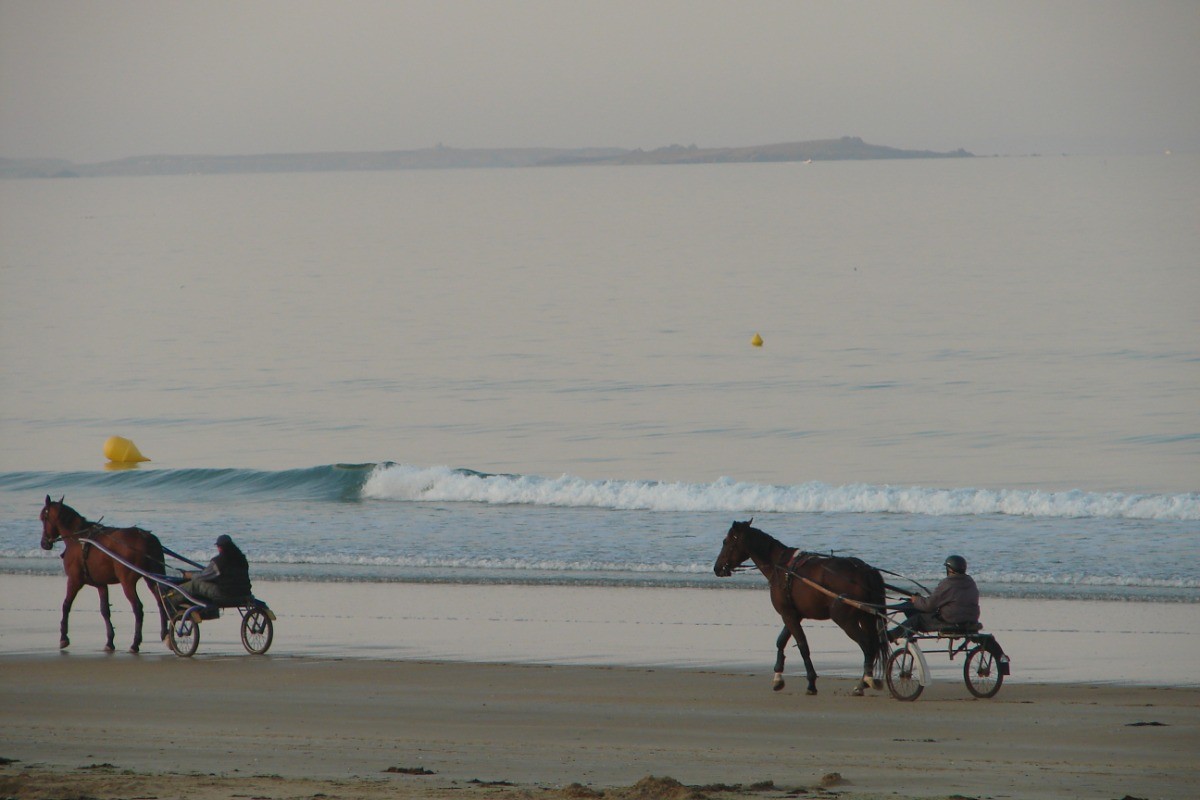 Photo n° 19 de la location